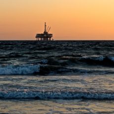 Read Our Friend of the Court Brief in Gulf Offshore Oil & Gas Leasing Lawsuit