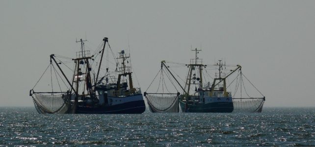 Net fishers