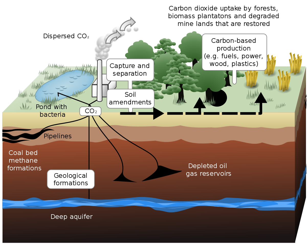 carbon-capture-modeled-at-lsu-greater-new-orleans-interfaith-climate