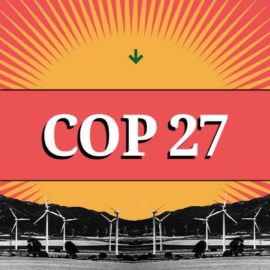 COP 27