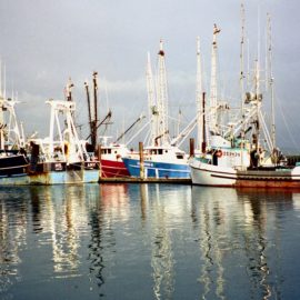 Commercial fishing