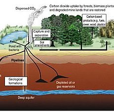 Can Louisiana be a good steward for carbon capture