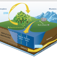 State should oversee Carbon Capture