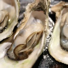 New tax credit more oyster shells