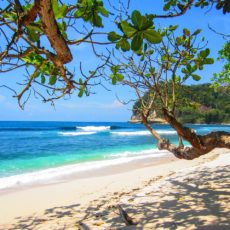 Dangerously hot summer coming