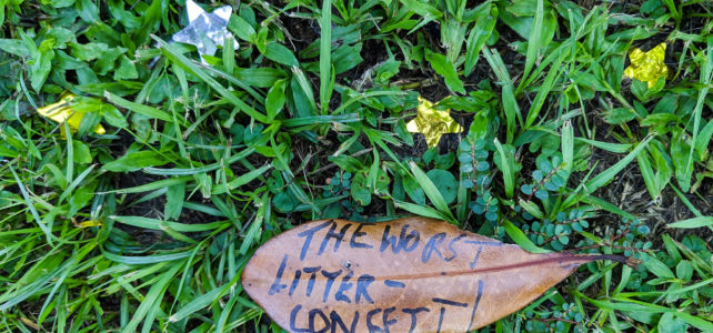 next to some star-shaped Mylar confetti, a leaf bears the inscription: "The Worst Litter - Confetti"