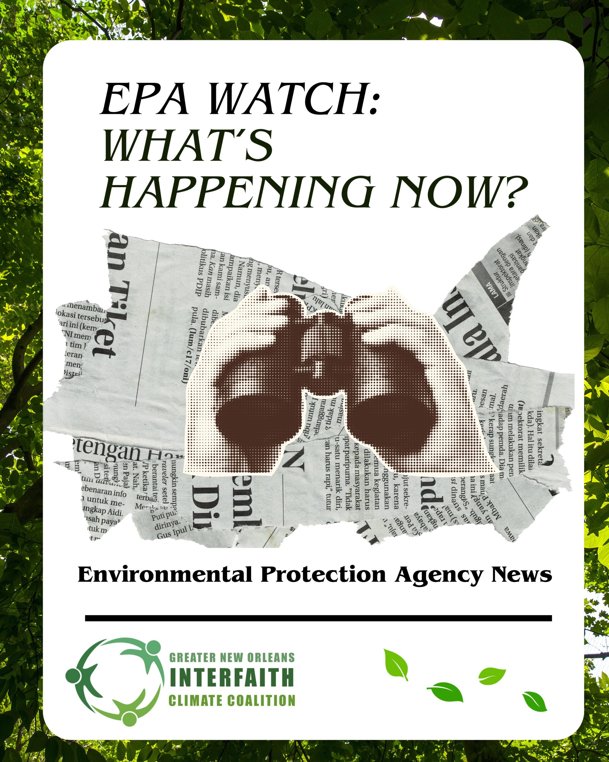 EPA Watch: What's Happening Now? Environmental Protection Agency News 